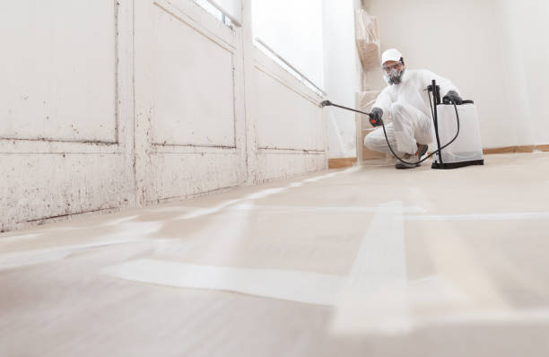 24/7 Emergency Basement Mold Remediation experts in Harrison, NY